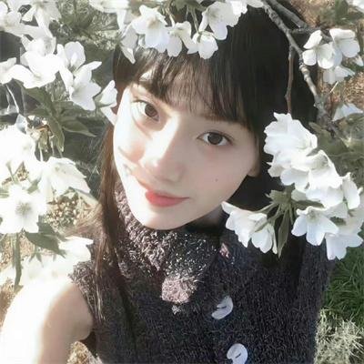 杀人蜂